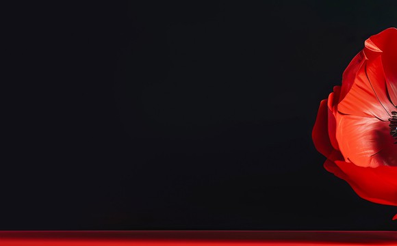 Mardi 11 novembre 2025 Mardi 11 novembre 2025